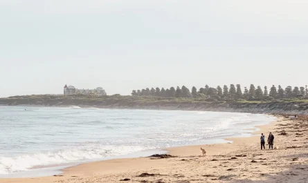 accessible travel tips for the great ocean road