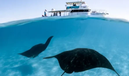 Kayaking Adventures on Ningaloo Reef’s Turquoise Waters