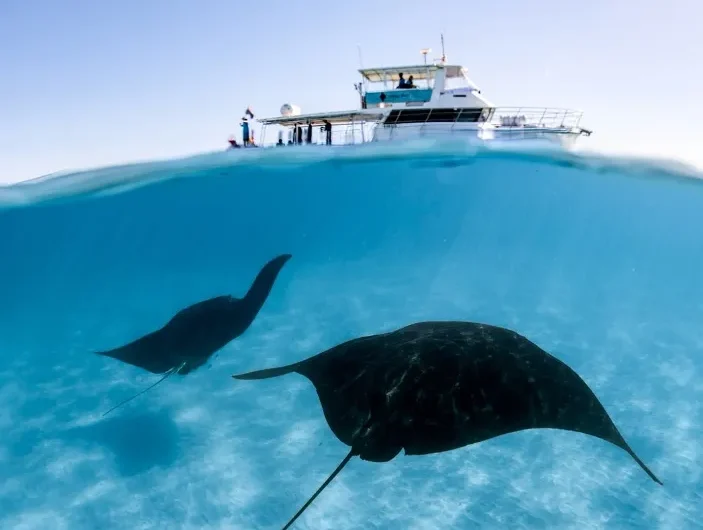 Kayaking Adventures on Ningaloo Reef’s Turquoise Waters