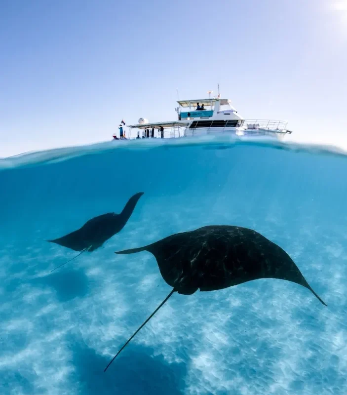 Kayaking Adventures on Ningaloo Reef’s Turquoise Waters