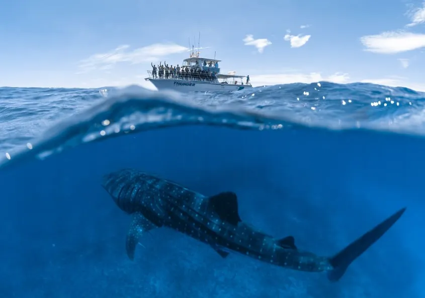 Ningaloo Reef Kayaking