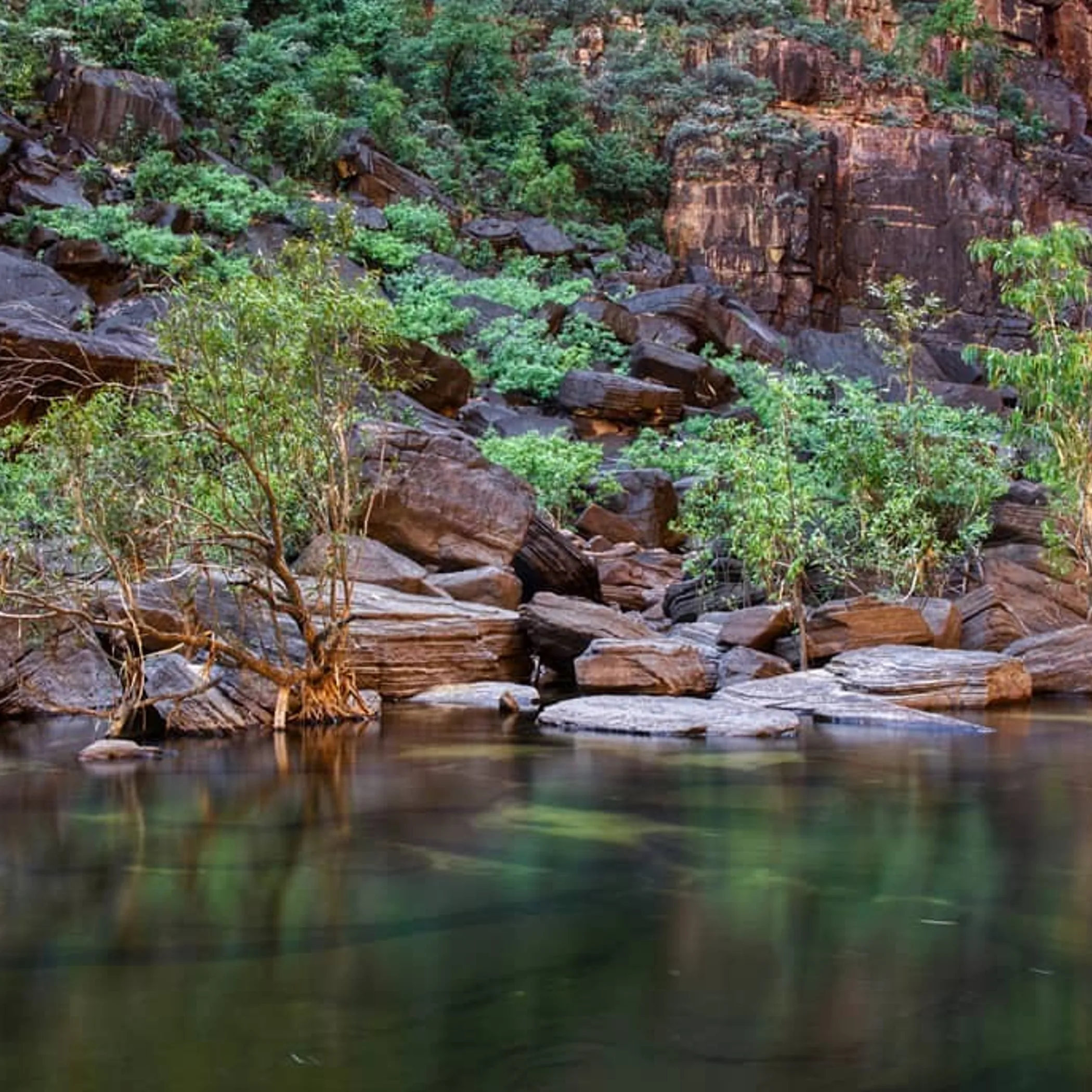 birdlife gathering kakadu floodplains transition season