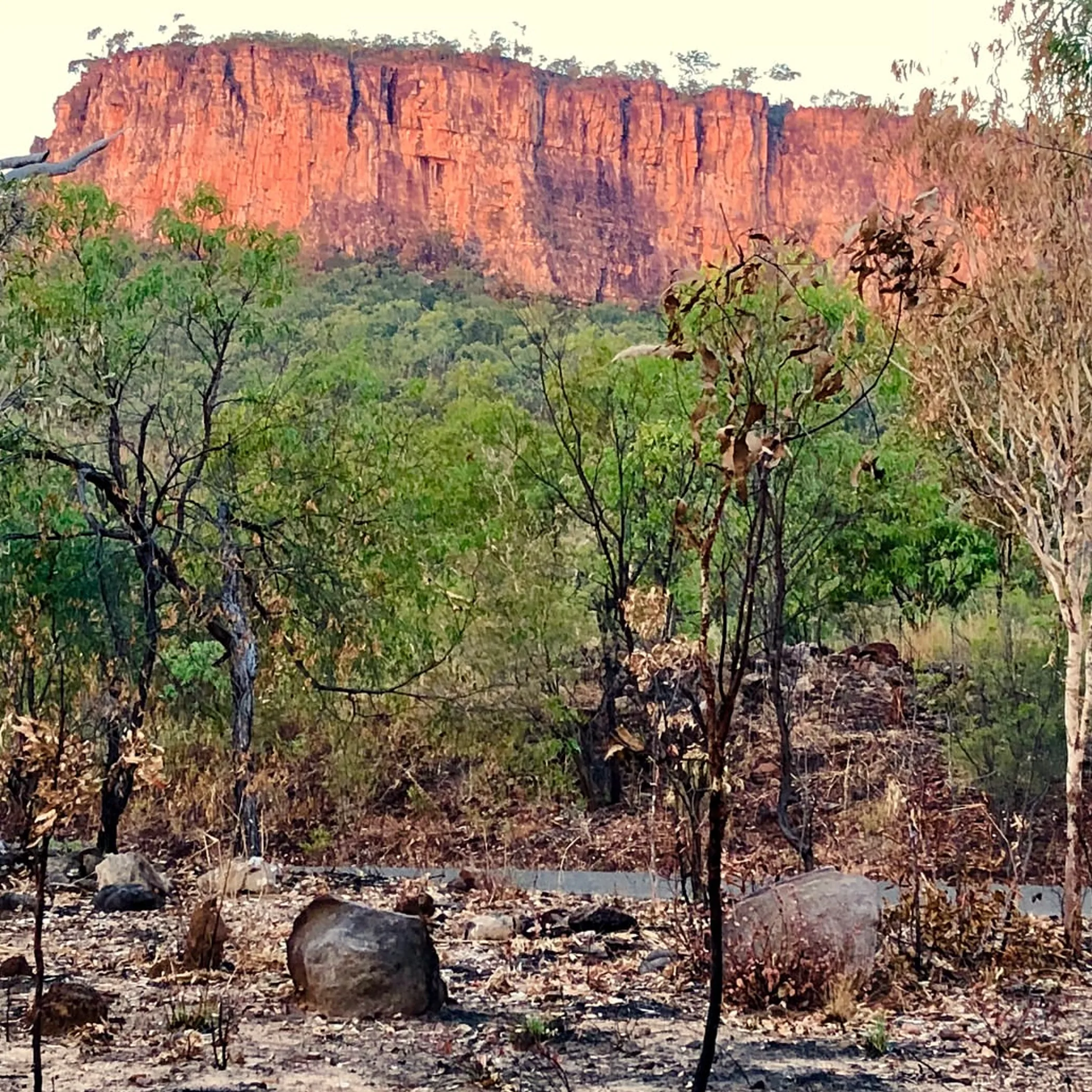 storm clouds over kakadu floodplains