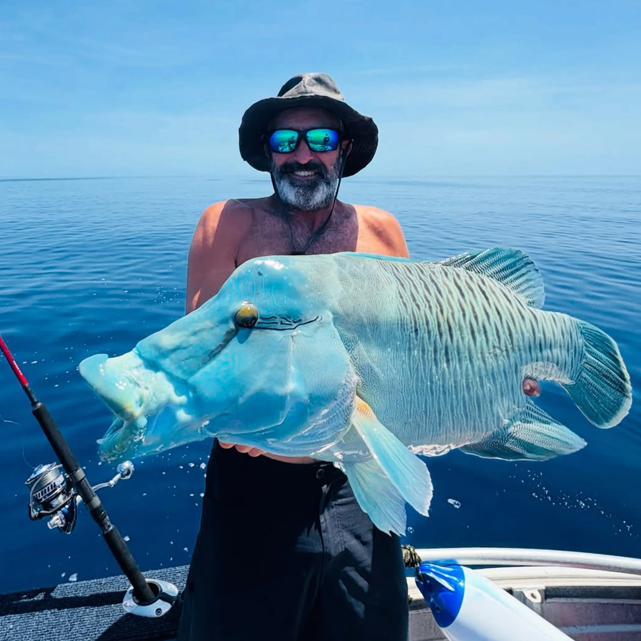 reef fishing and marine life